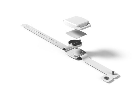 Wristband Tag